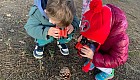 Meraklı Minik Arılarımız Okul Bahçemizde Doğa İncelemesi Yaptı