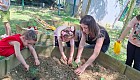 Bee Garden'da Fideler Toprakla Buluştu 