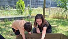 Bee Garden'da Fideler Toprakla Buluştu 