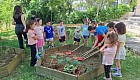 Bee Garden'da Fideler Toprakla Buluştu 