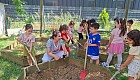 Bee Garden'da Fideler Toprakla Buluştu 