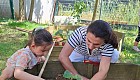 Bee Garden'da Fideler Toprakla Buluştu 