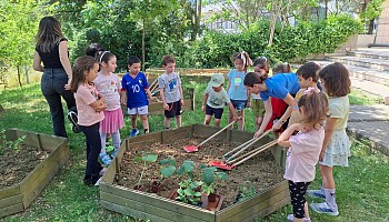 Bee Garden'da Fideler Toprakla Buluştu 