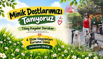Minik Arılarımız Minik Dostlarımızı Tanıyoruz Eğitimine Katılacak
