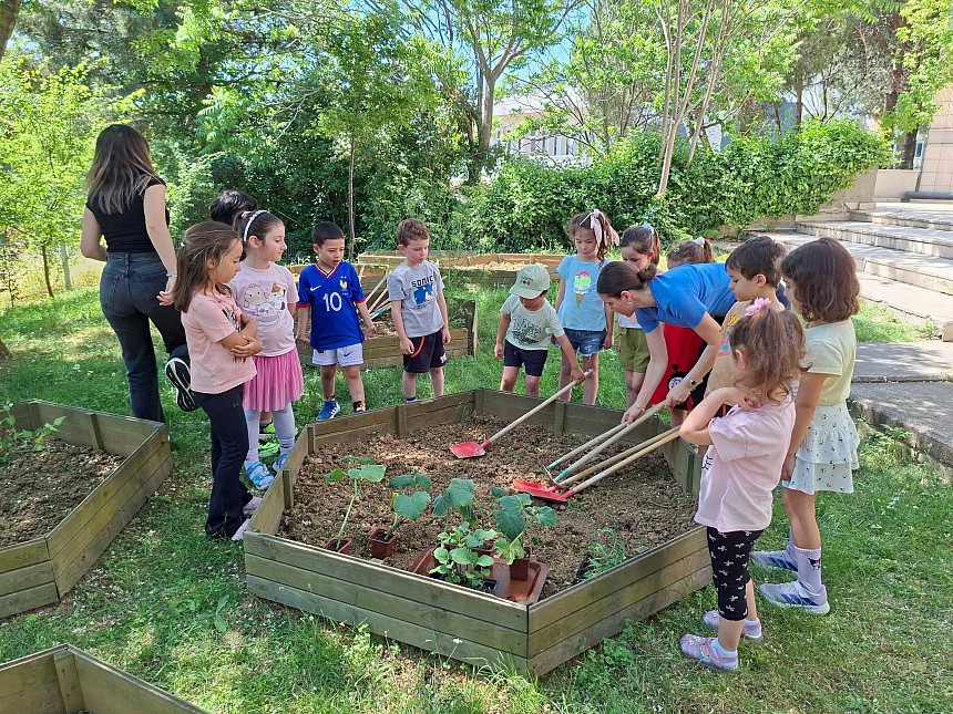 Bee Garden'da Fideler Toprakla Buluştu 